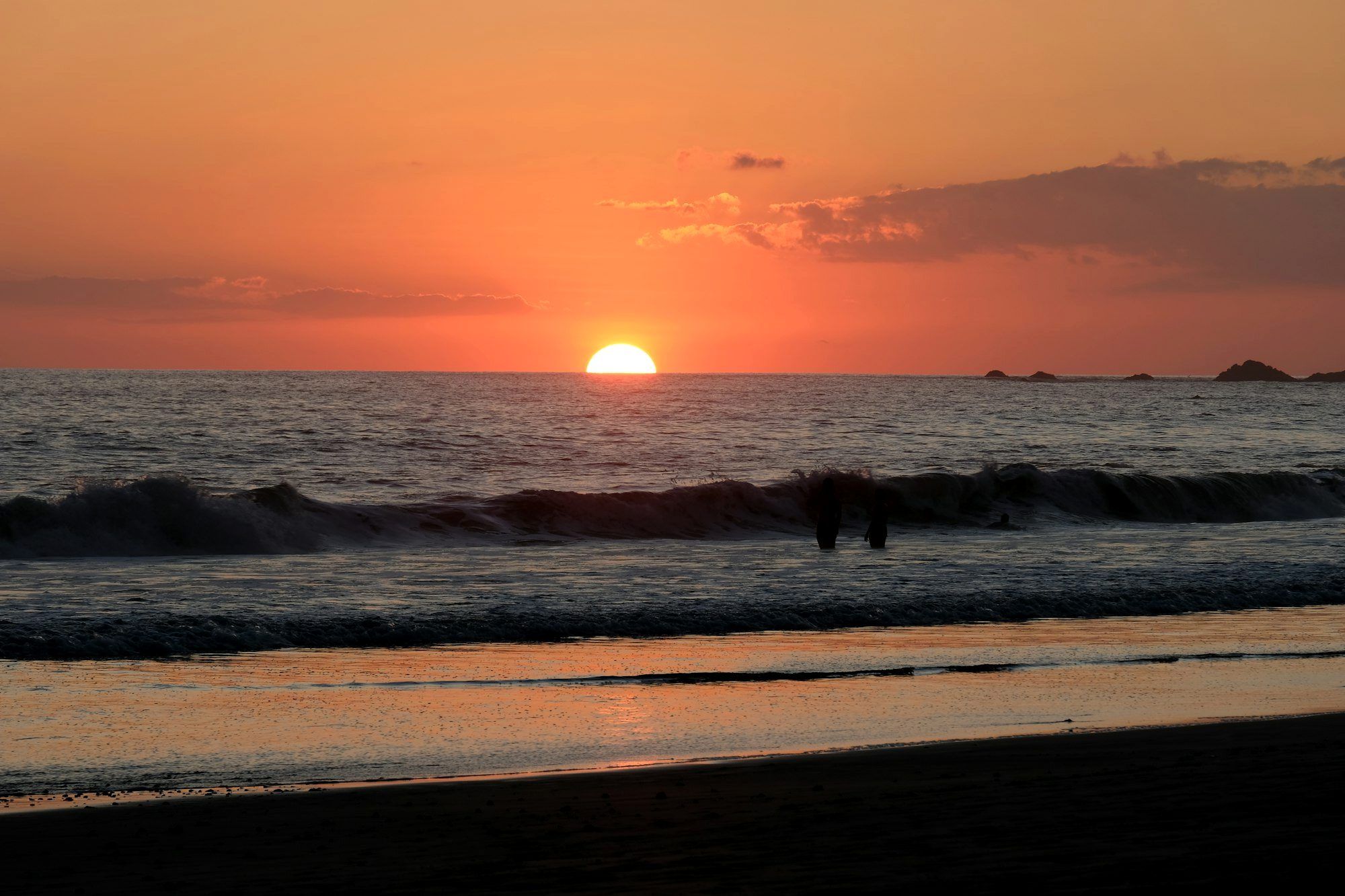 A palm-fringed beach at Manuel Antonio on Costa Rica's Pacific coast
