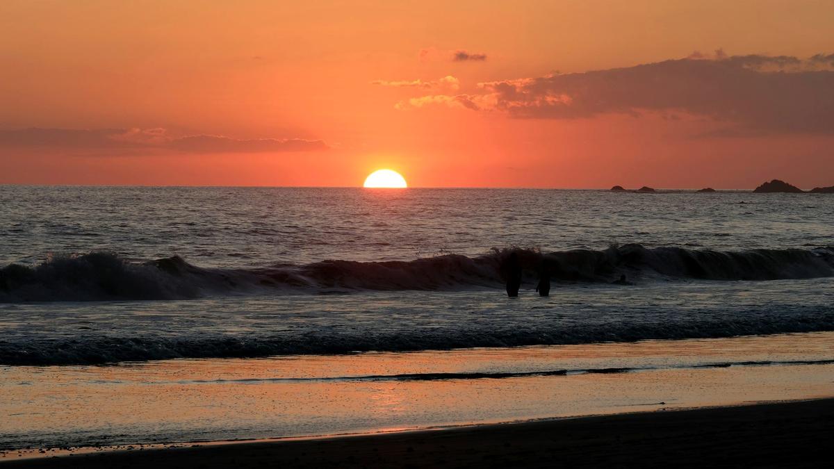 A palm-fringed beach at Manuel Antonio on Costa Rica's Pacific coast