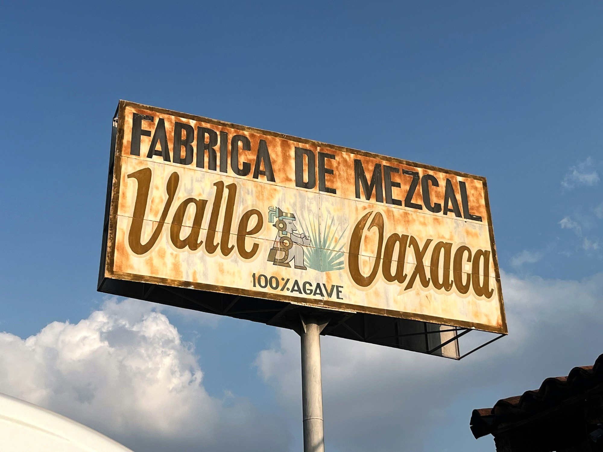 A row of mezcal glasses poured for a tasting flight at a rural Oaxaca palenque