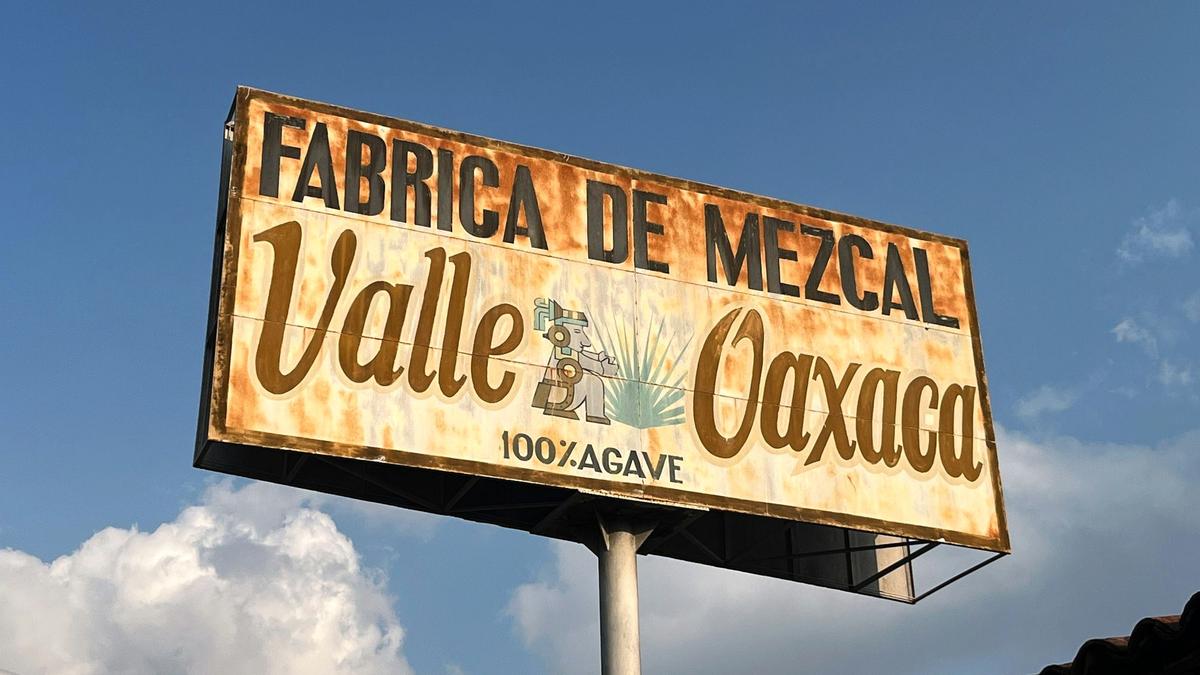 A row of mezcal glasses poured for a tasting flight at a rural Oaxaca palenque