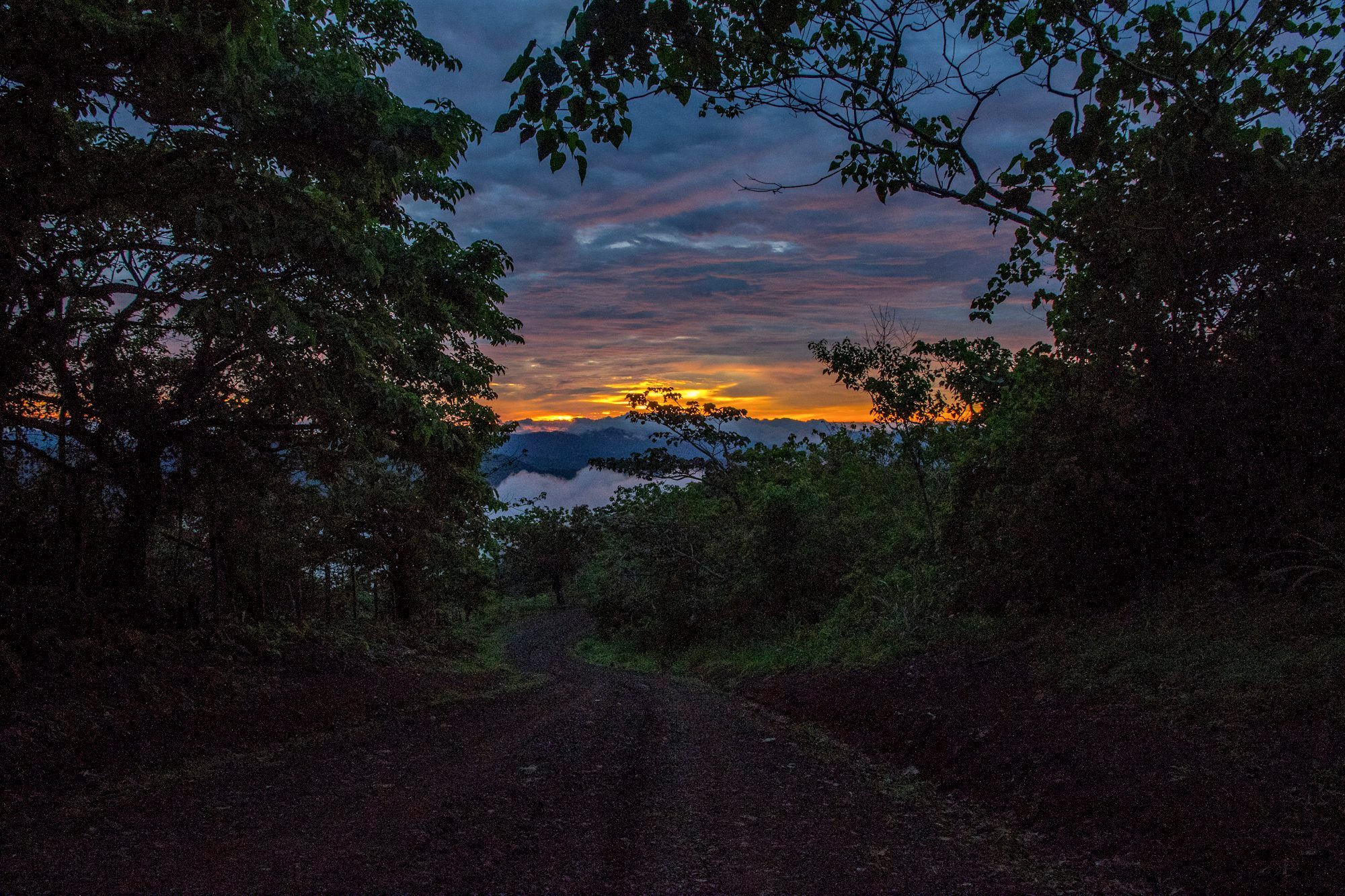 A 4x4 SUV on a muddy gravel road through the Costa Rican rainforest