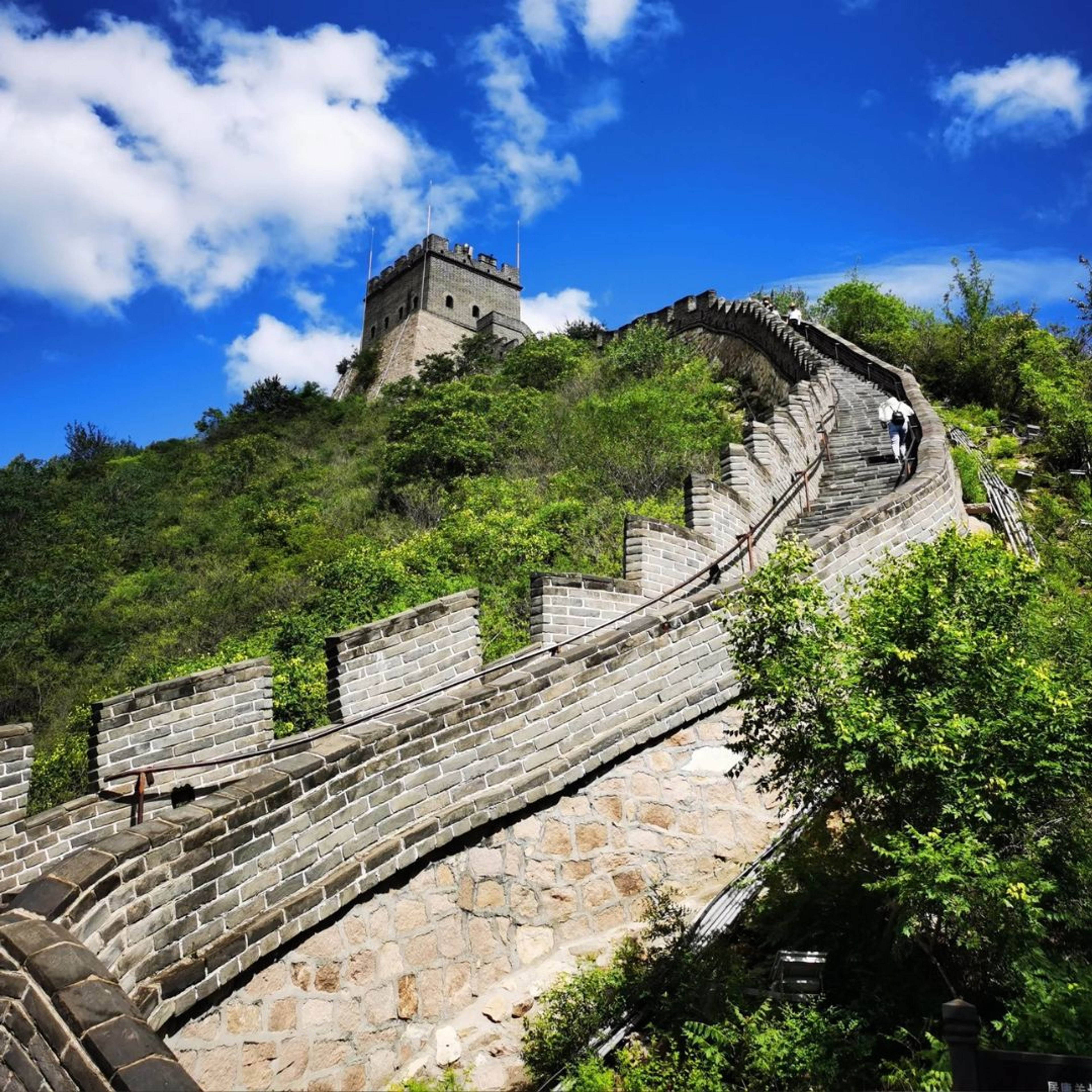 41fa11bc-e115-4d00-acbc-064c7e855cc5-img