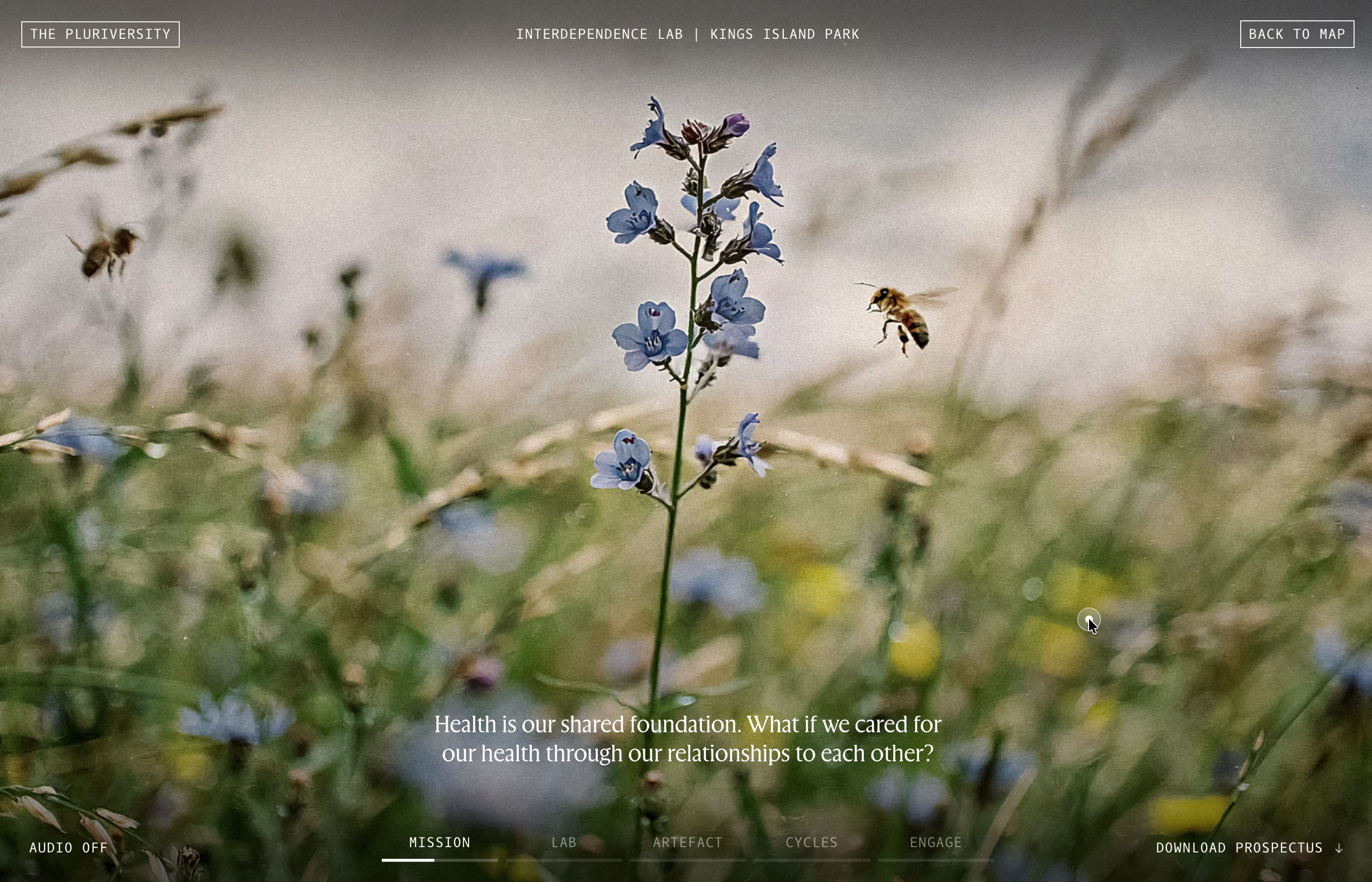 A frame from a digital narrative, where a bee approaches a flower