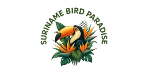 Suriname Bird Paradise - Grietjebie