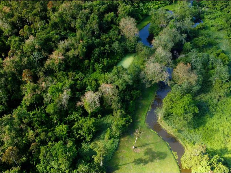 Peperpot park lucht foto