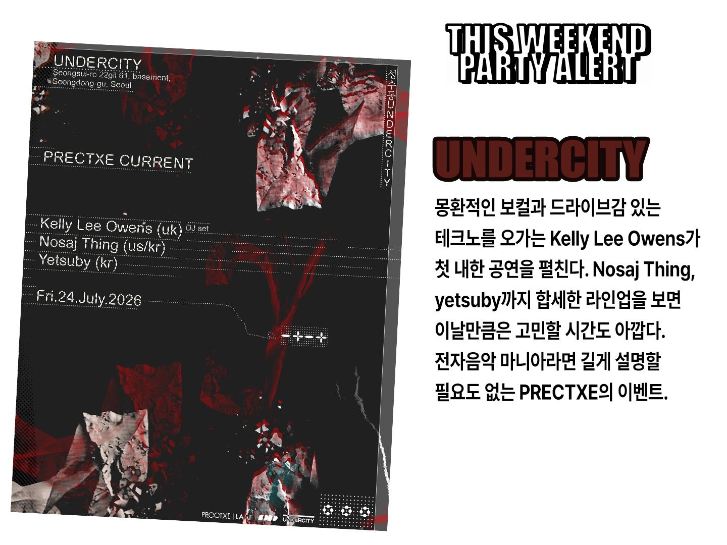 THIS WEEKEND PARTY ALERT 포스터
