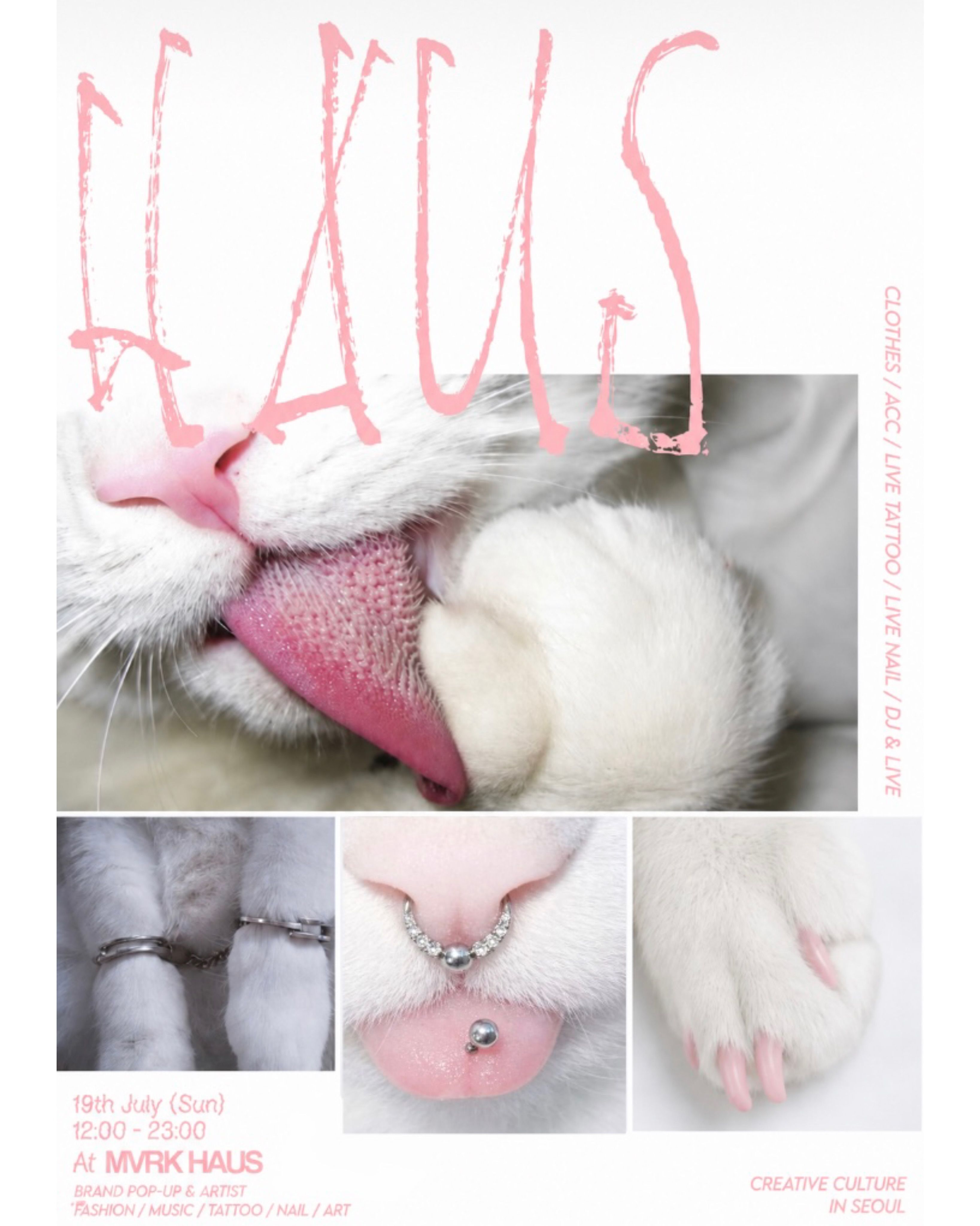 HAUS: A Creative Culture Pop-up 포스터