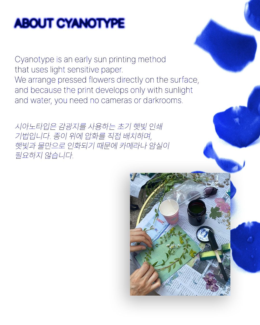 THE WET의 팝업 워크숍: Artist Secret Recipe - 시아노타입 워크숍 포스터