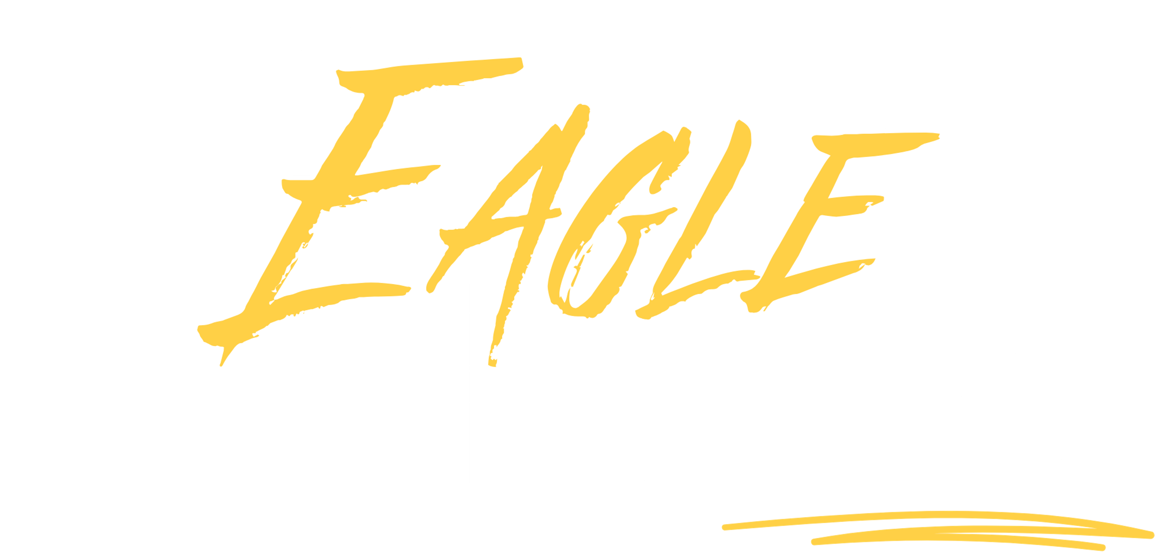 Eagle Interview