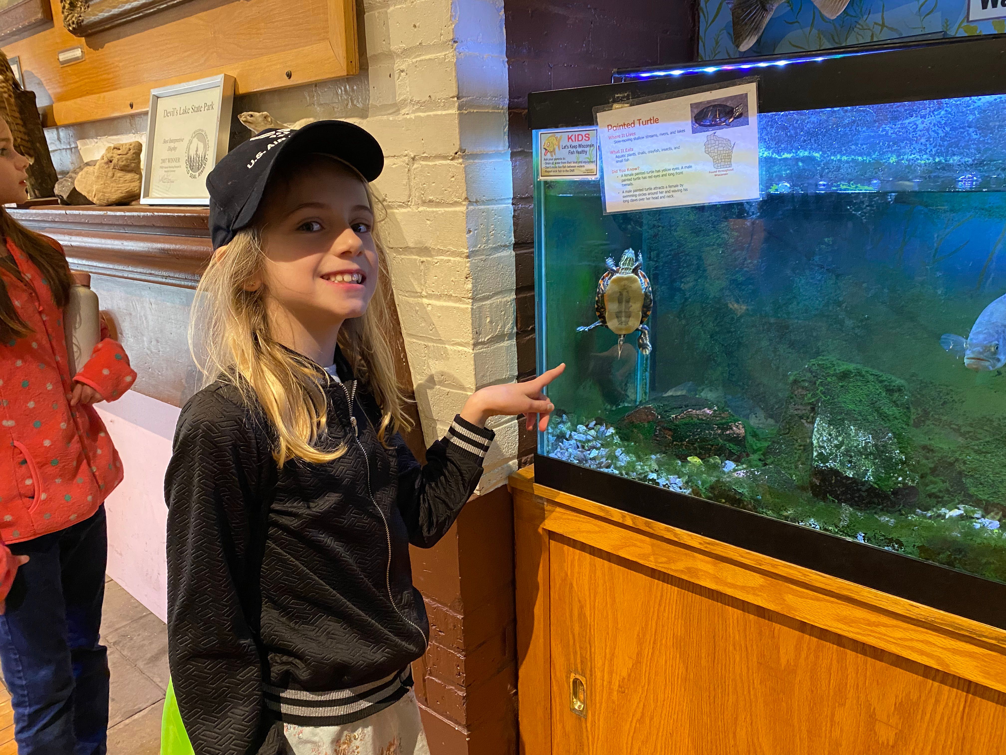 Arianna Krejchik watches a tiny turtle swim.