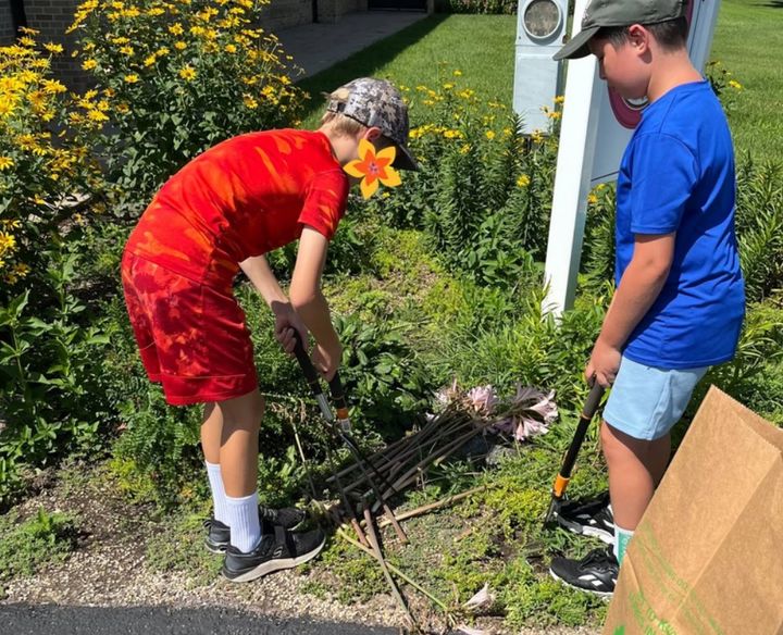 Two students clearing weeds from a garden bed.