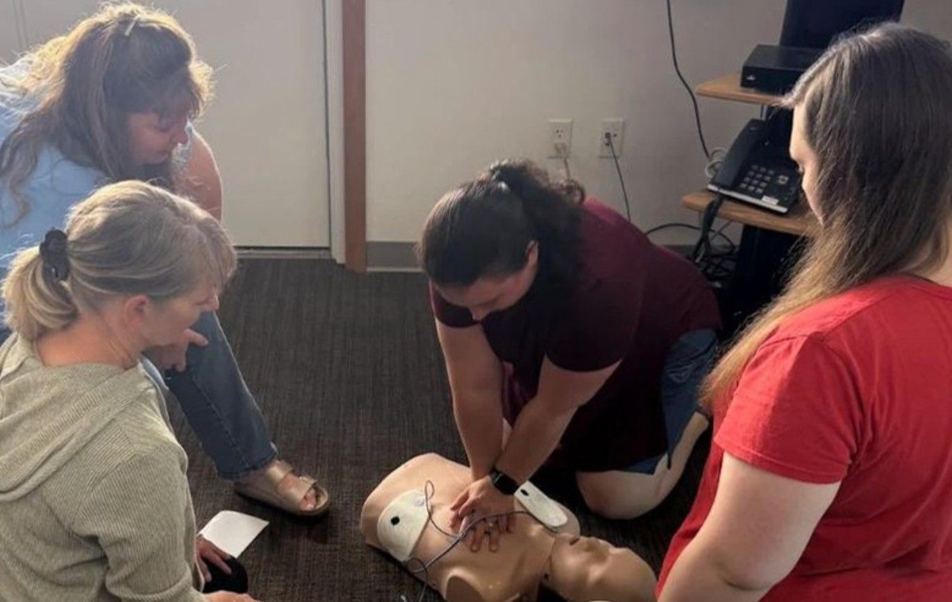 Teachers practicing CPR on training manikins.