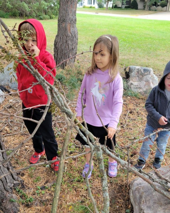 Kindergartners gathering branches among the trees.
