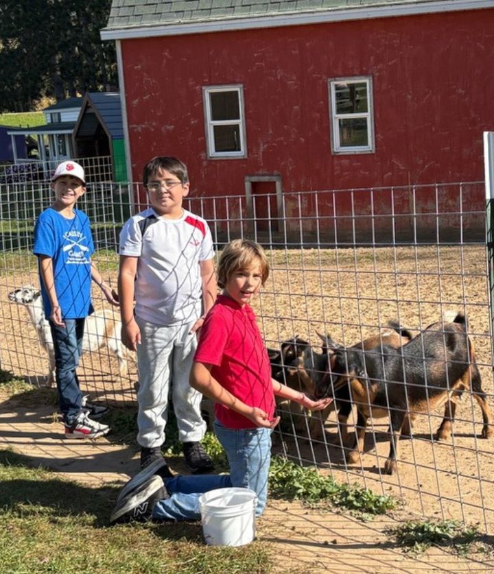 Students feeding goats at the farm.