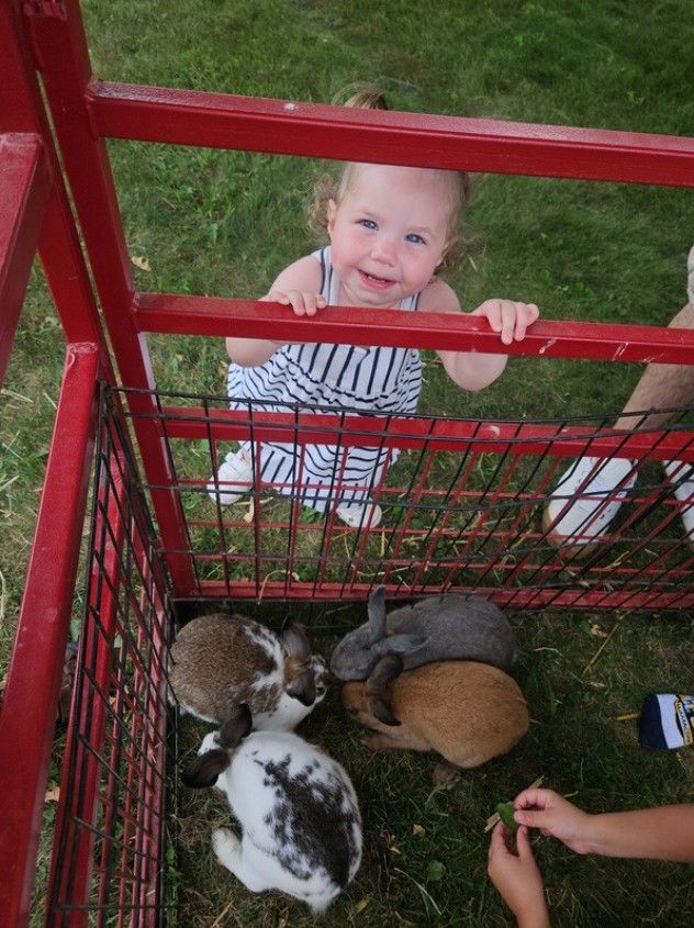 A smiling toddler beside a pen of rabbits.