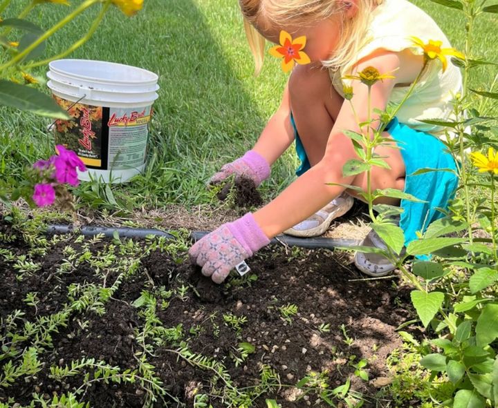 A student in gardening gloves planting flowers.
