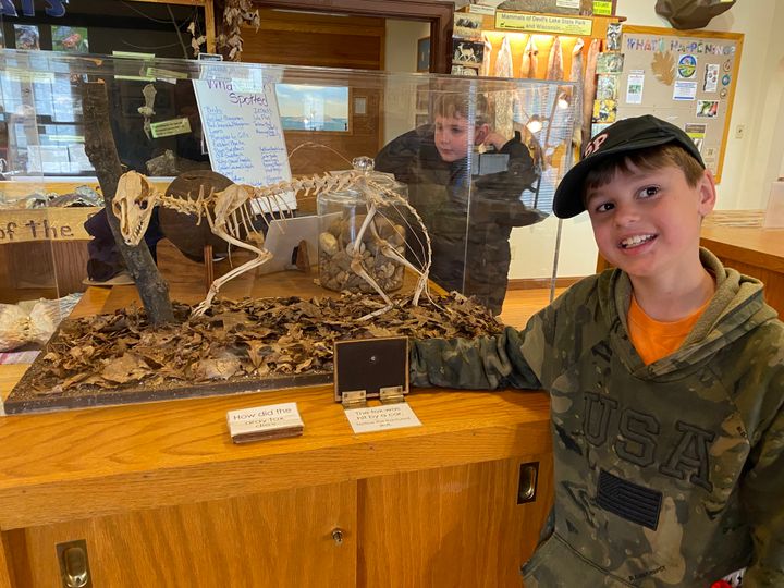 Logan Ederer checks out a gray fox skeleton.
