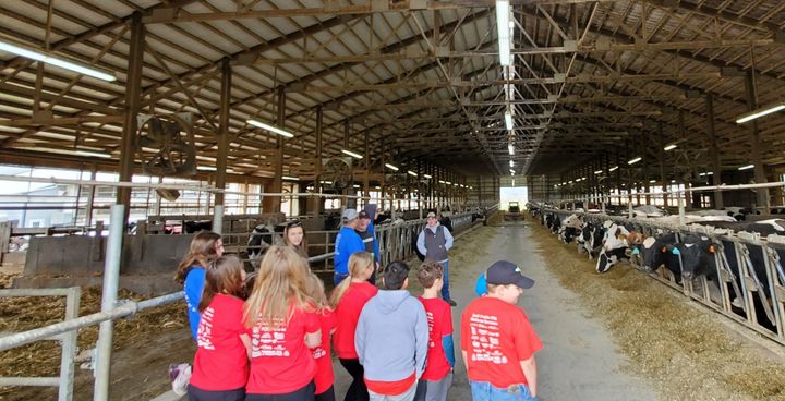 Students are introduced to dairy cows on the farm.