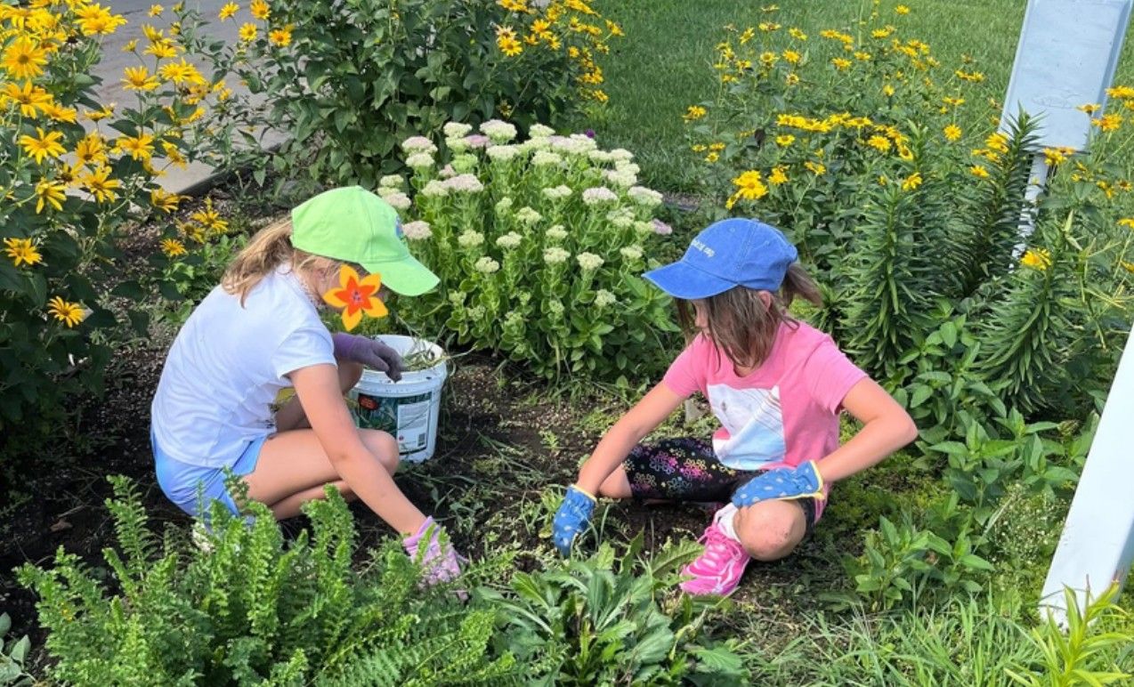 Two students weeding a flower bed in front of the school.