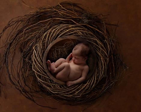 Sleeping baby curled up in a wreath of willow on brown background