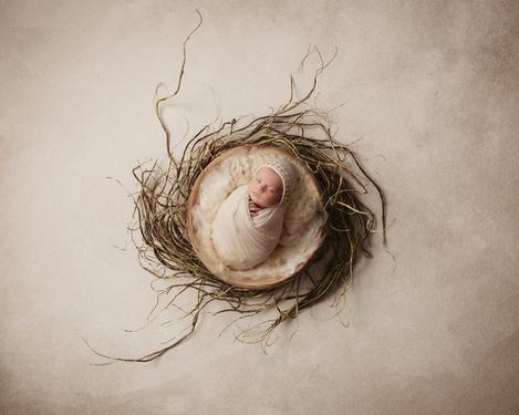 Schlafendes Baby zusammen gerollt in einen Kranz aus getrockneten Gräsern auf beigem Hintergrund