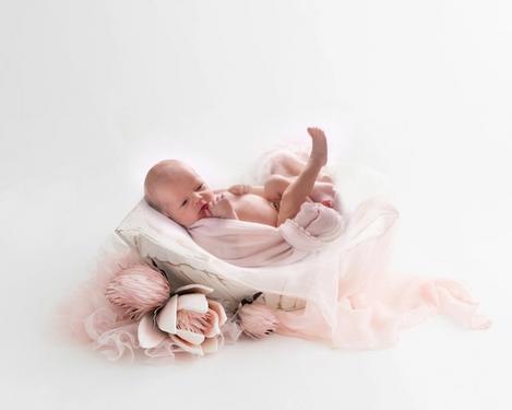 Neugeborenes Baby in weißer Schale und hell rosa Tüchern und Blumen auf weißem Hintergrund
