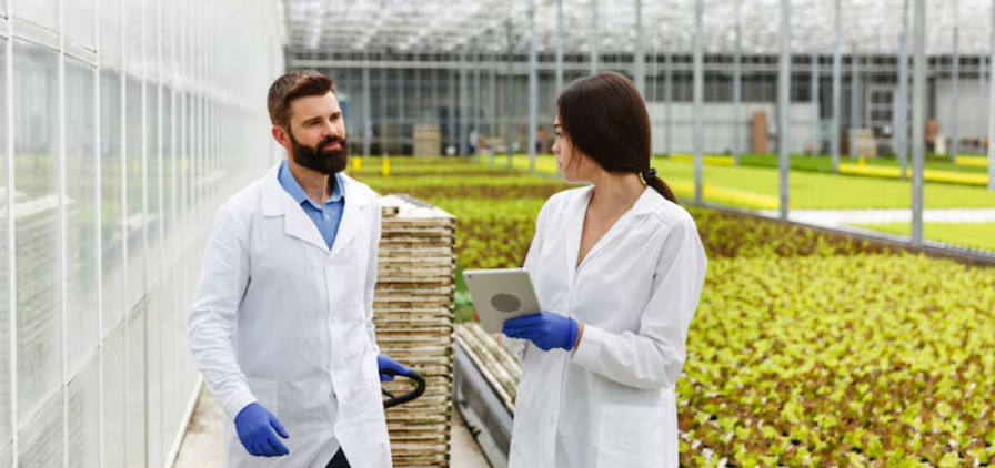 Vertical Growing Businesses