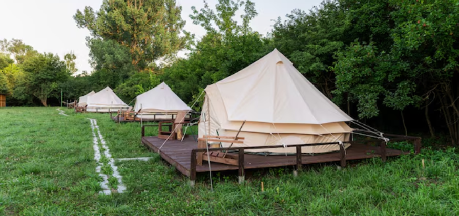 Glamping Business