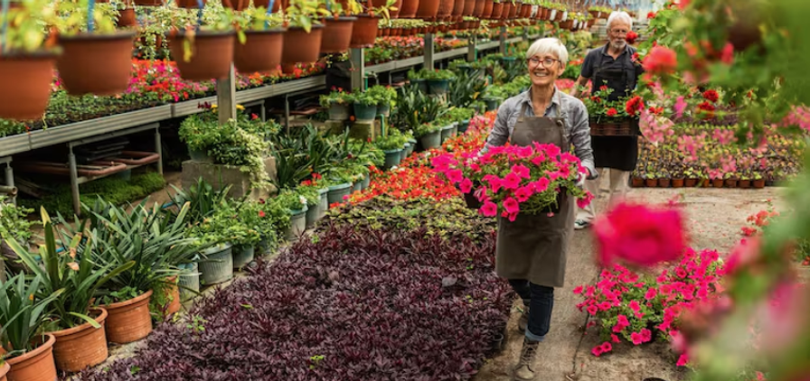 Indoor Plant Store