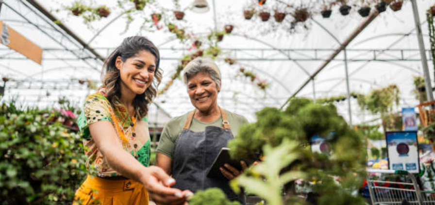Indoor Plant Store