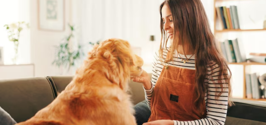 Pet Care Business in Seattle Works So Well