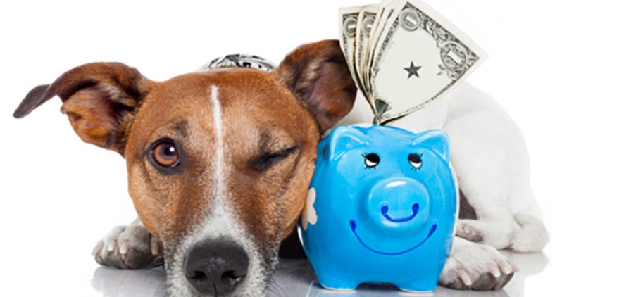 How Much Money Can You Earn