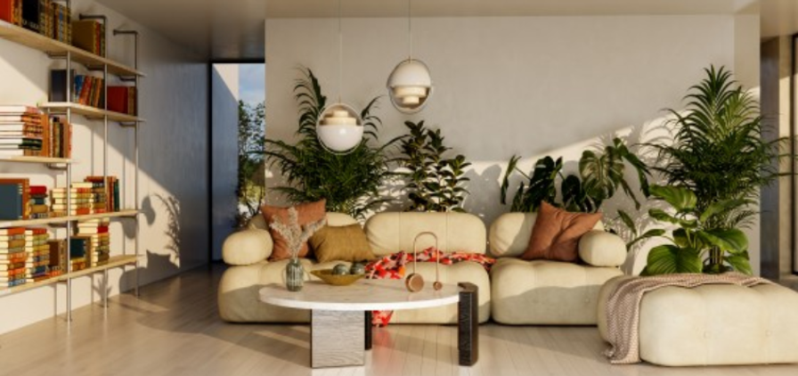 Indoor Plants