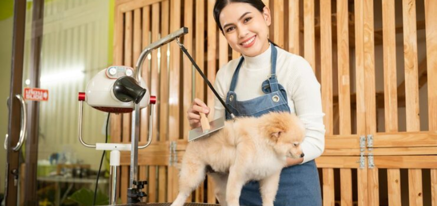 Pet Care Business in Atlanta