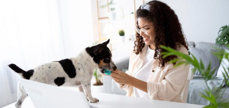 Great Place for This Business