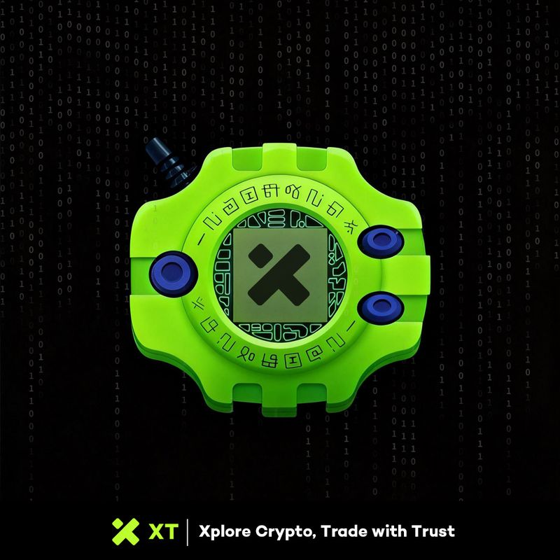 XT Creative Banner 22