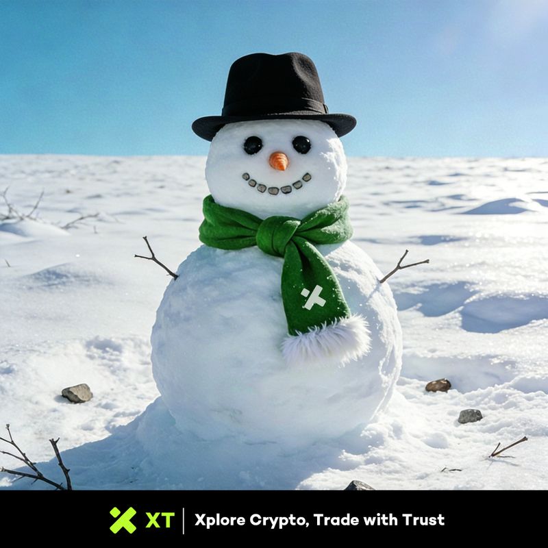 XT Creative Banner 29