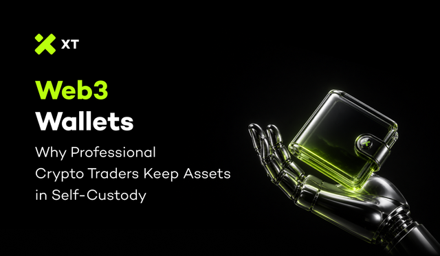 Why Experienced Crypto Users Keep Assets in Web3 Wallets