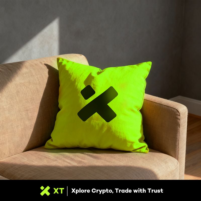 XT Creative Banner 31