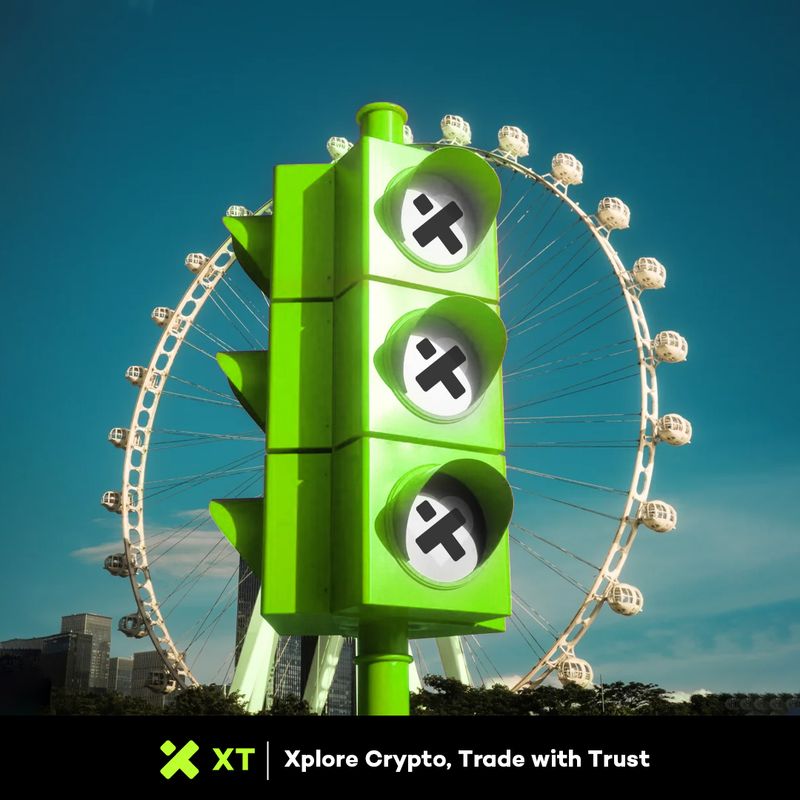 XT Creative Banner 36