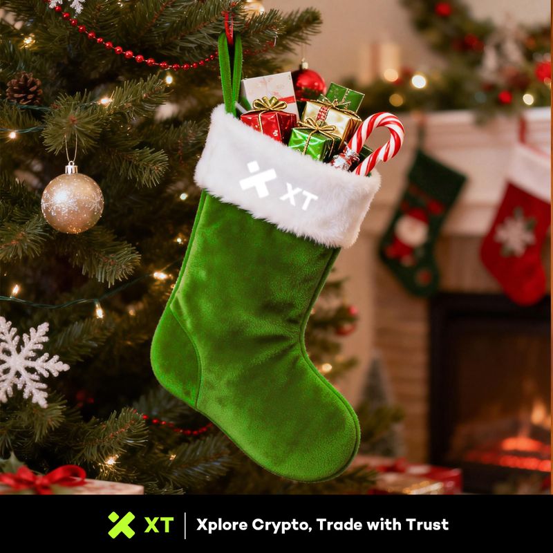 XT Creative Banner 27