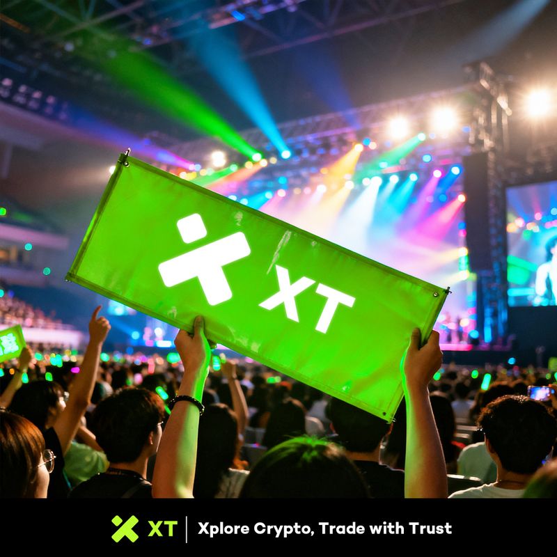 XT Creative Banner 33
