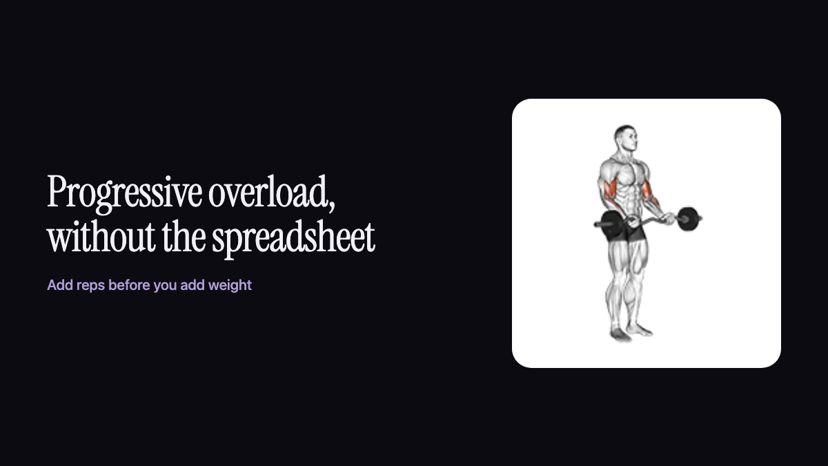 A figure performing a dumbbell biceps curl with the biceps highlighted