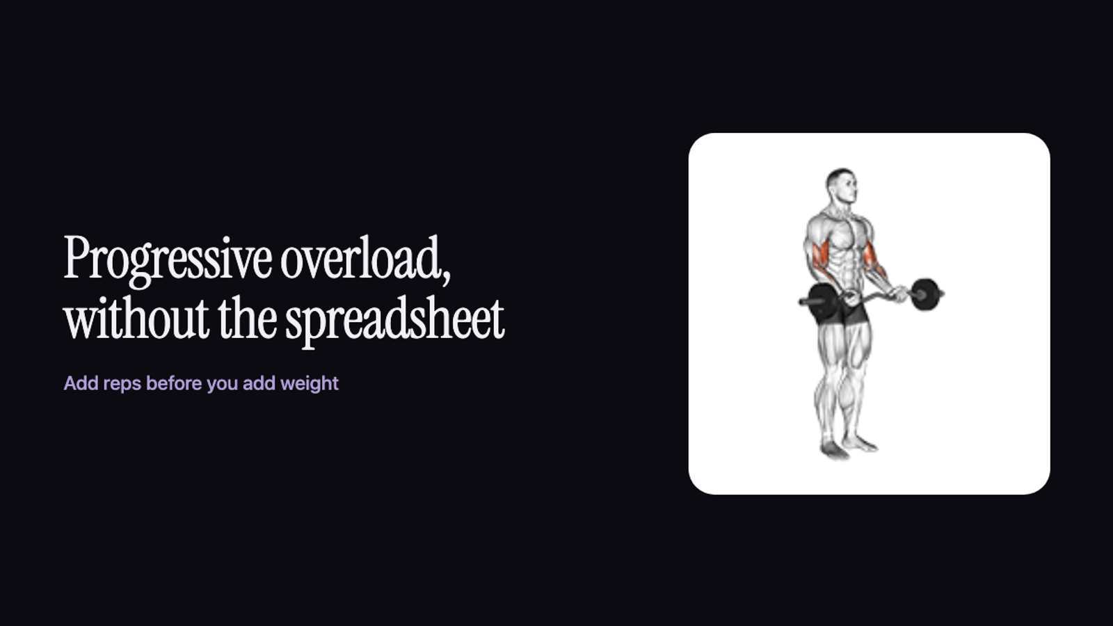A figure performing a dumbbell biceps curl with the biceps highlighted