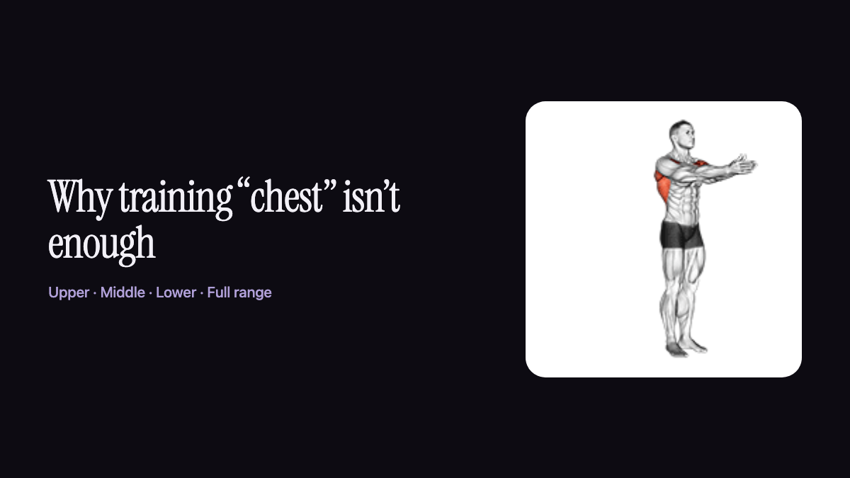 A figure performing a standing chest fly with the pectorals highlighted