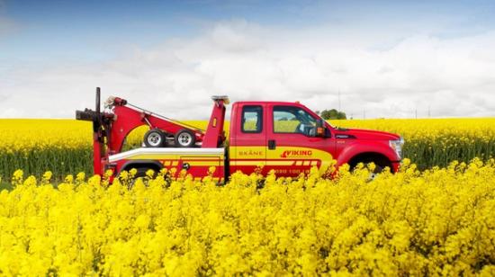 Vikingbil står i ett gult rapsfält.