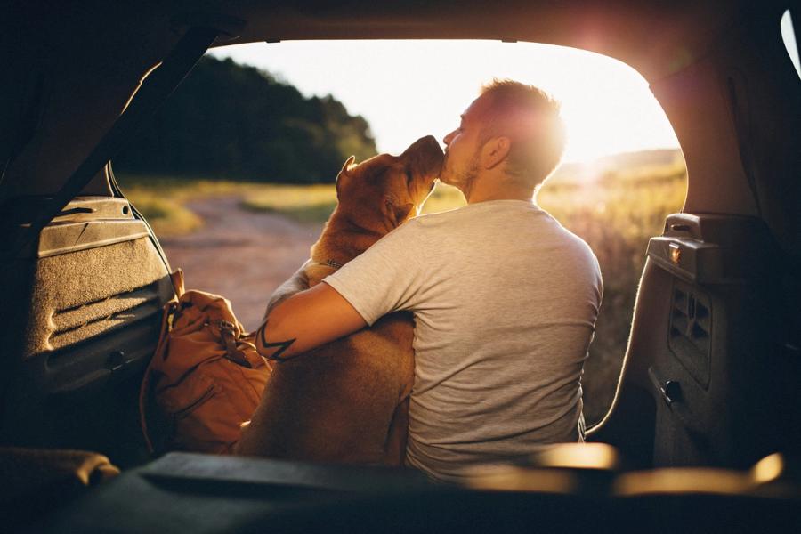 Mann og hund koser på kanten av bagasjerommet til en bil