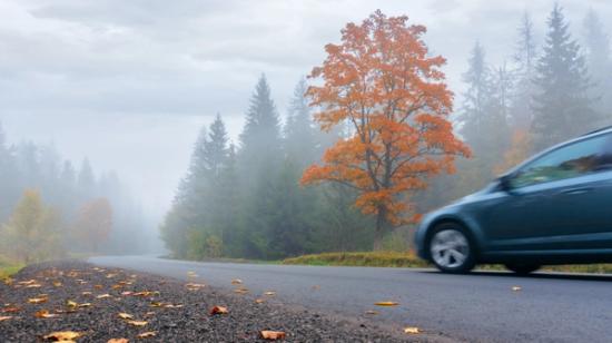 Auto ajaa sumuisella tiellä, jota reunustavat keltaiset puut ja pudonneet lehdet.
