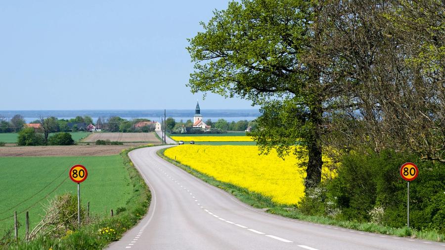 Väg i Sweeden med synliga skyltar för hastighetsbegränsning.