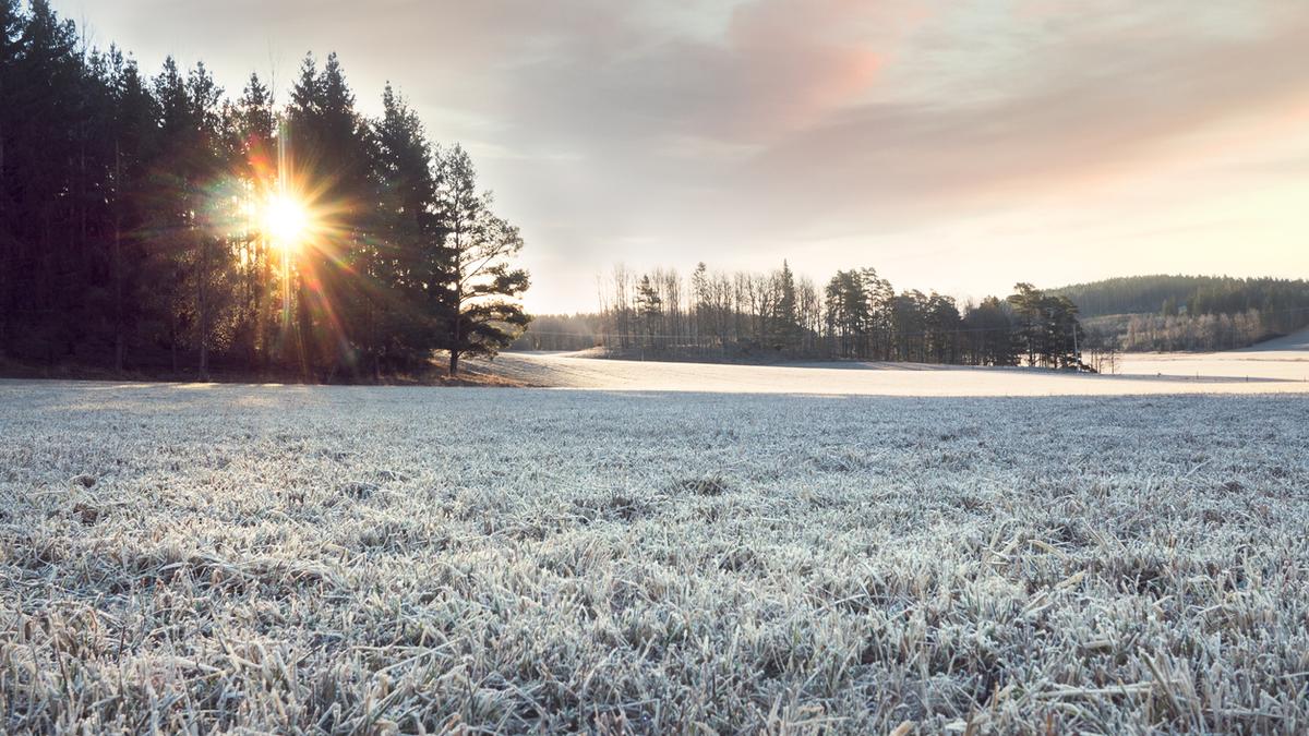 Vinterlandskap.